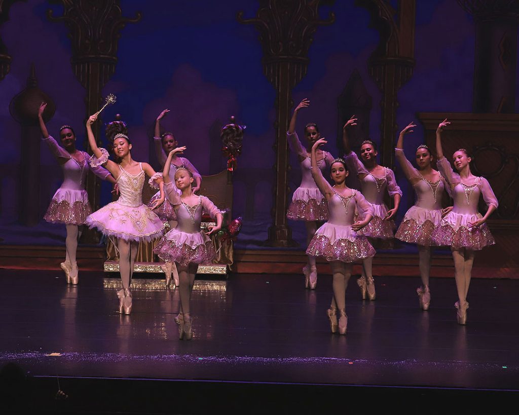 About The Ballet – Gulfshore Ballet