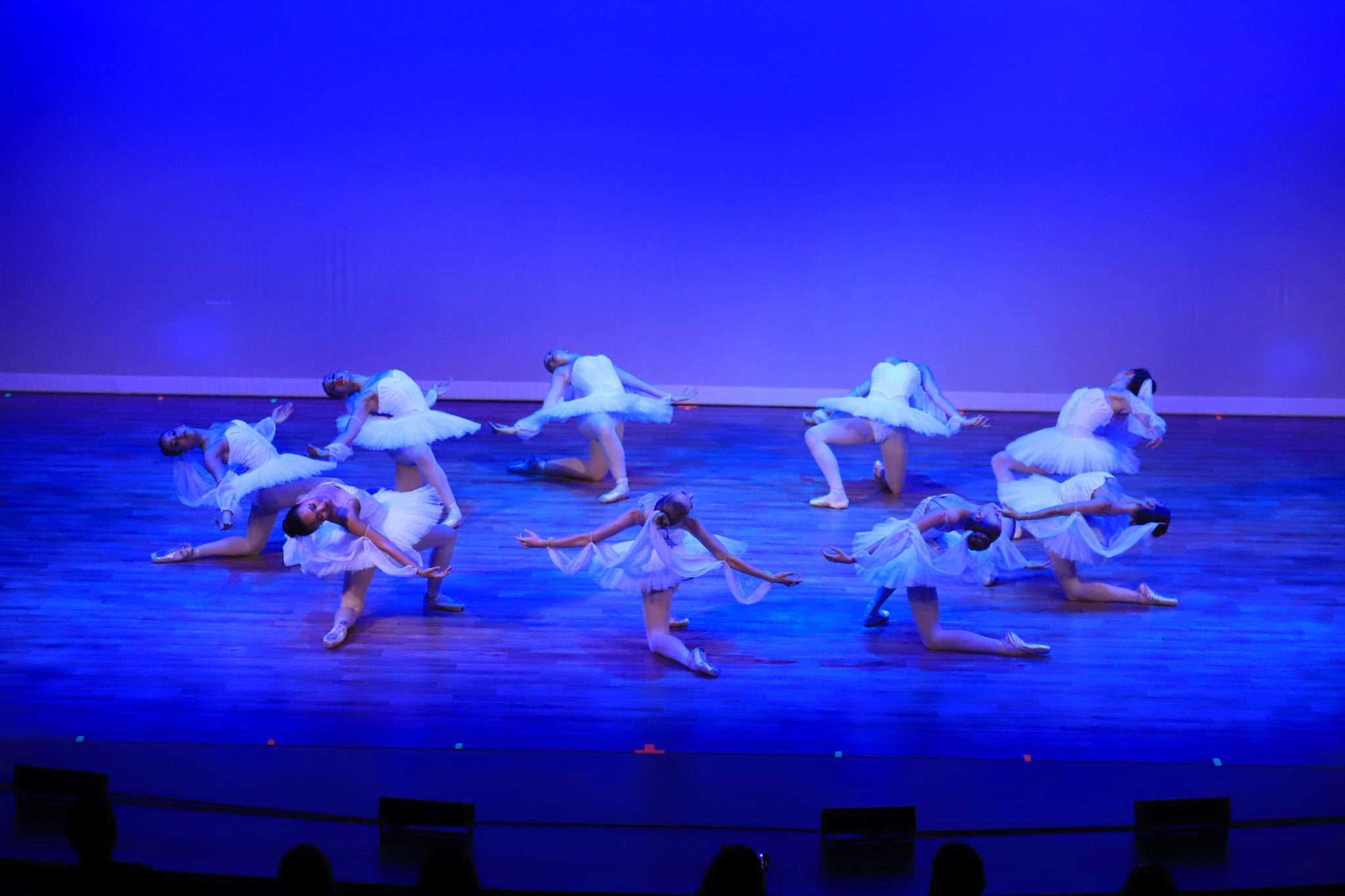 Gulfshore Ballet – Southwest Florida's Premier Not For Profit School of ...